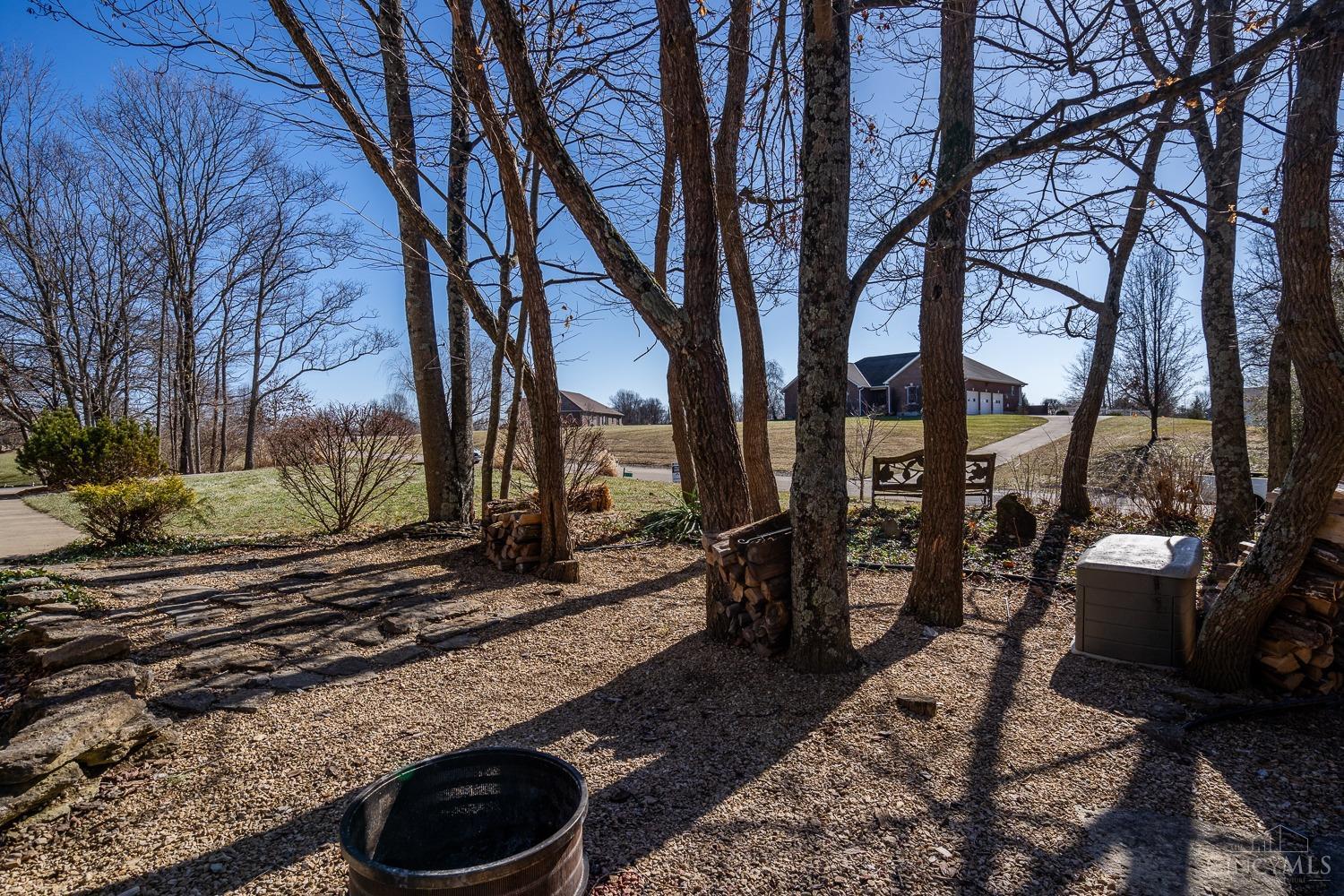 4175 Whitetail Drive Property Photo 68