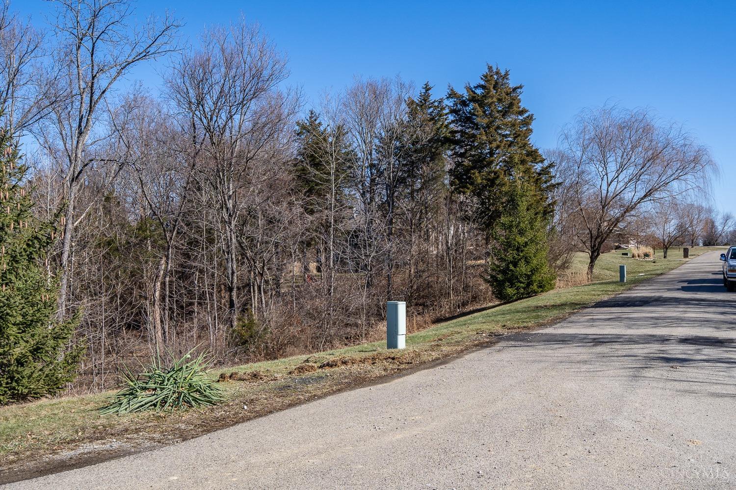 4175 Whitetail Drive Property Photo 70