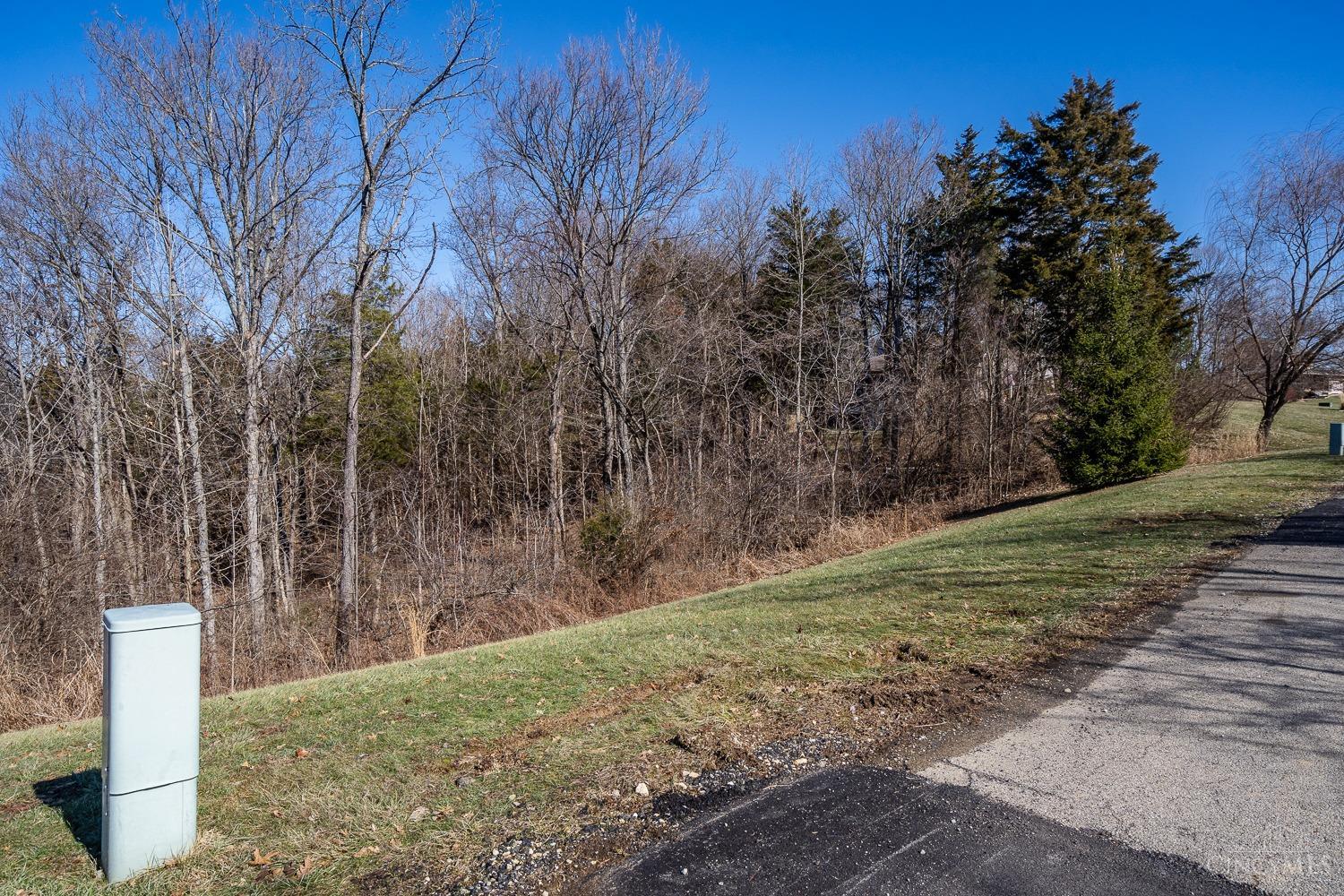 4175 Whitetail Drive Property Photo 71