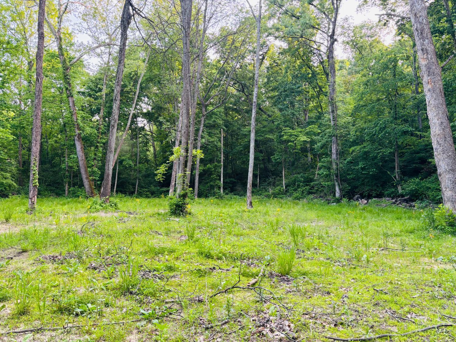 Laurel Road Property Photo 1