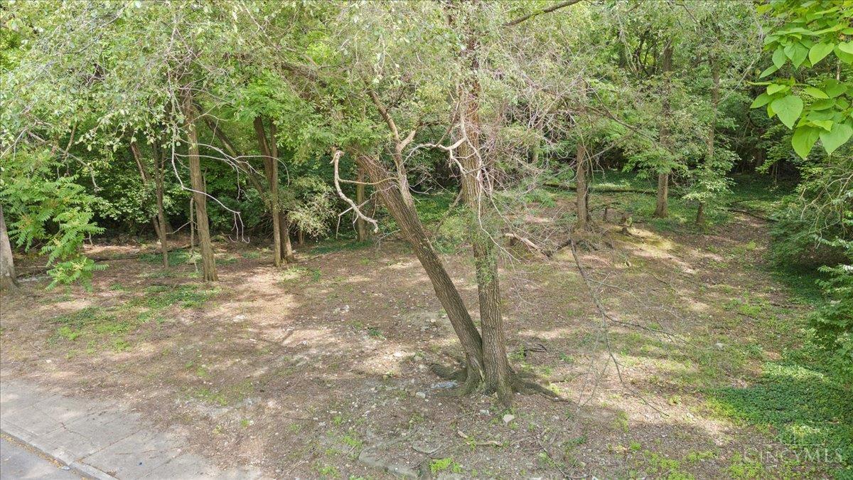 127 Valencia Street Property Photo 7