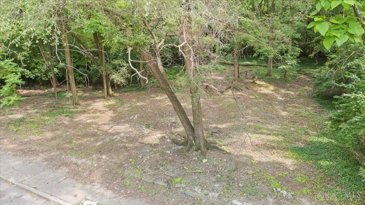 127 Valencia Street Property Photo 8