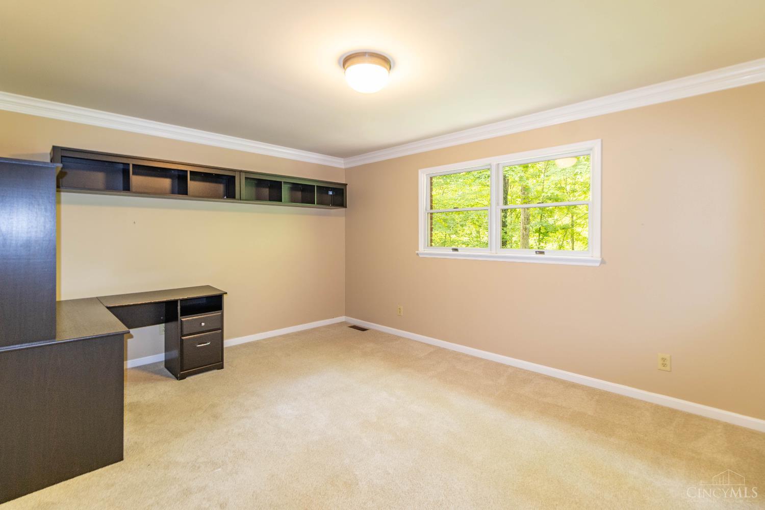 11507 Applejack Court Property Photo 23