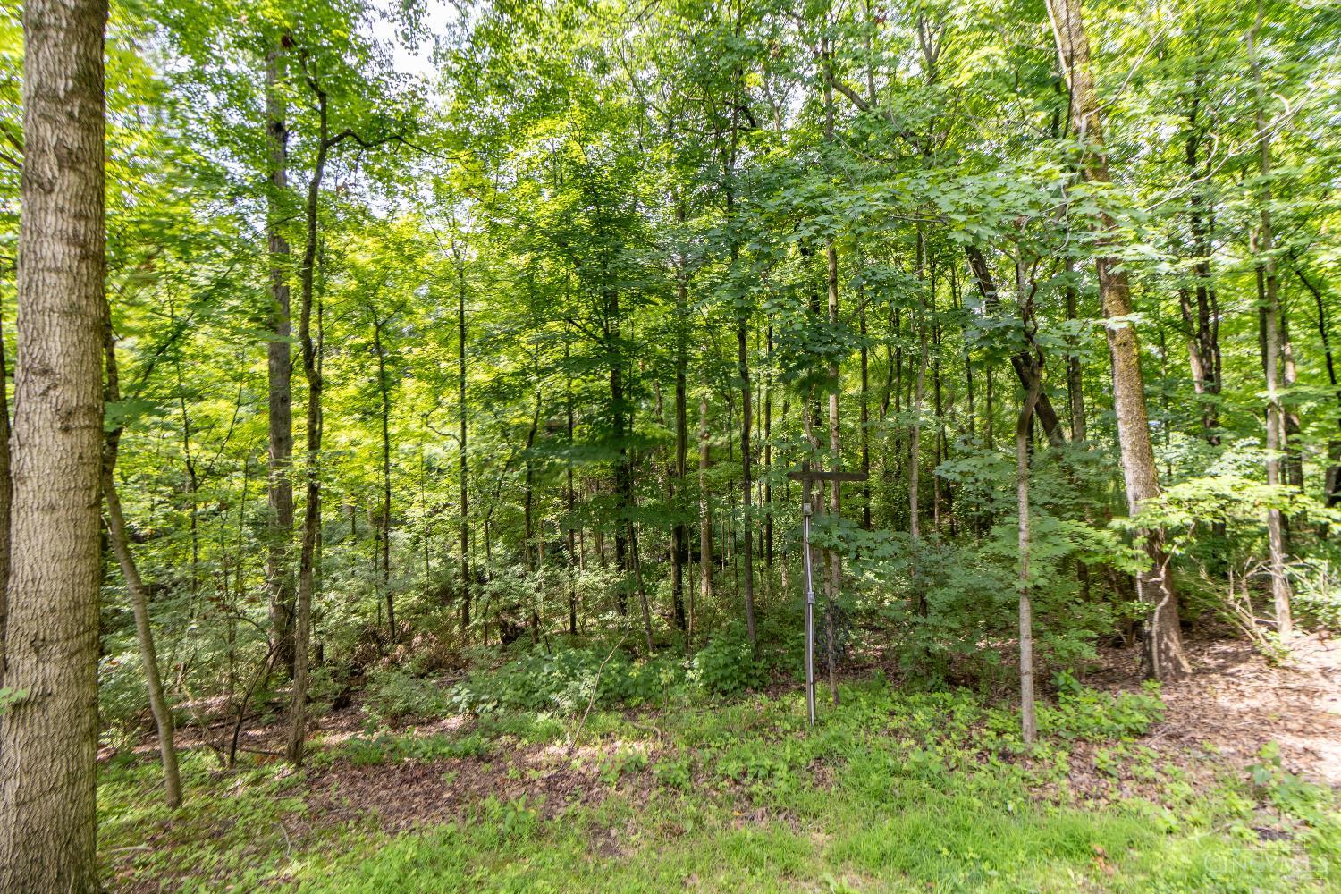 11507 Applejack Court Property Photo 40