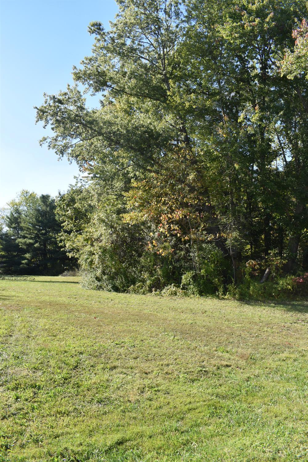 1343 Oder Drive Property Photo 4