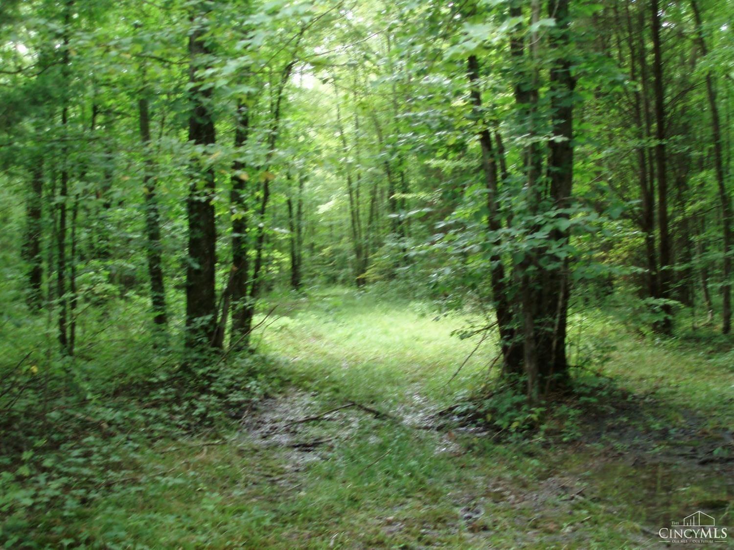 1140 Weber Road Property Photo 23
