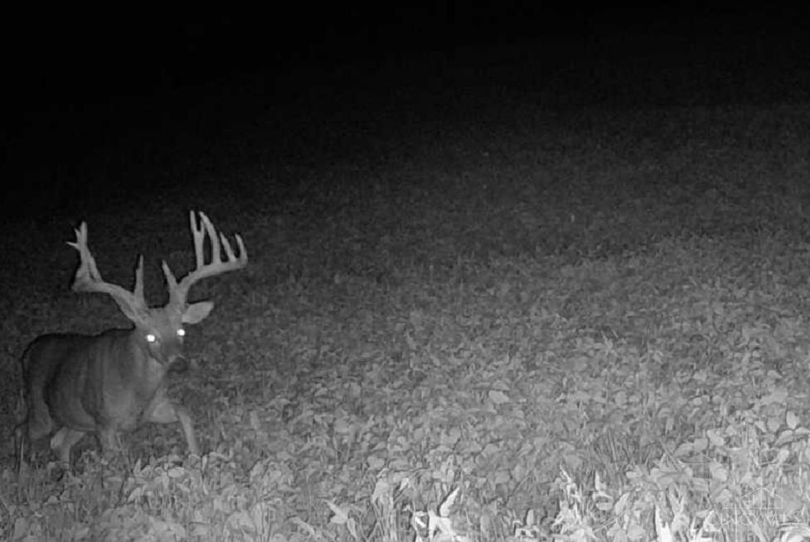 S 3733 Baker Road Property Photo 37