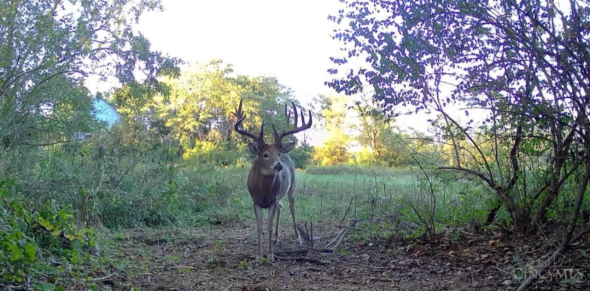 S 3733 Baker Road Property Photo 38