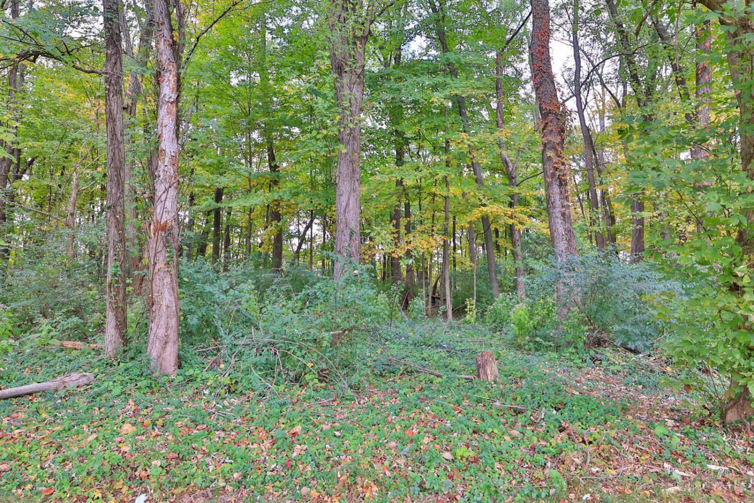 804 Eaglesknoll Court Property Photo 58