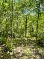 2464 Oxford Middletown Road Property Photo 26