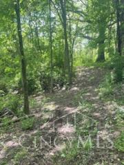 2464 Oxford Middletown Road Property Photo 28