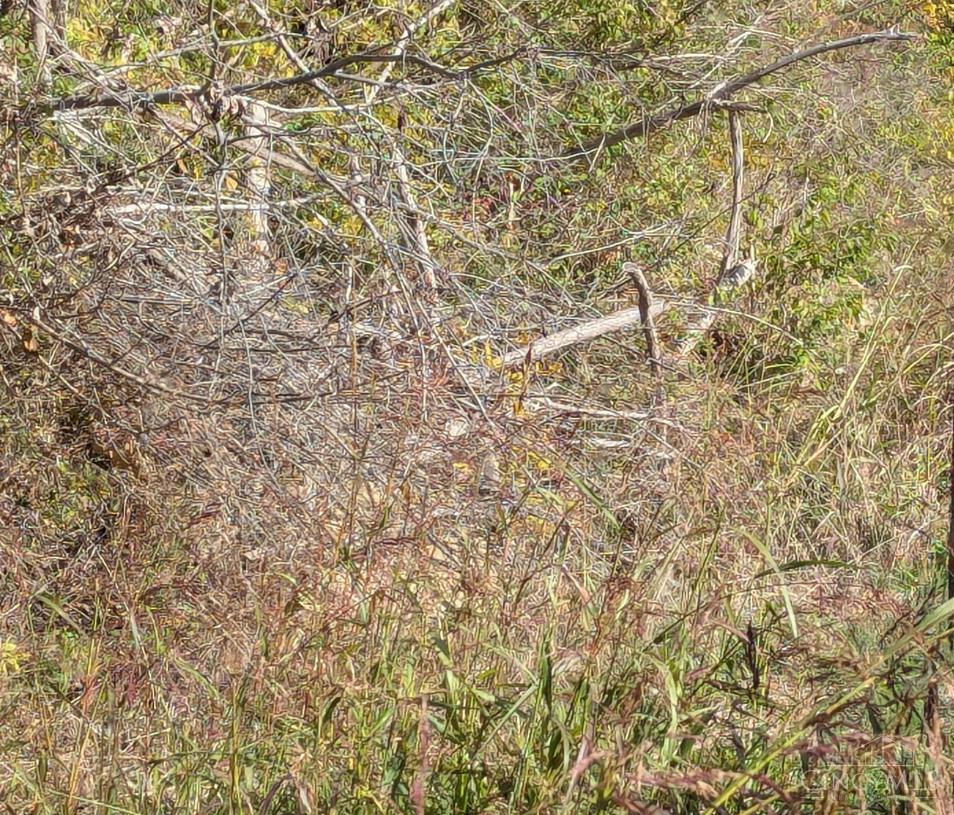9300 Old State Property Photo 4