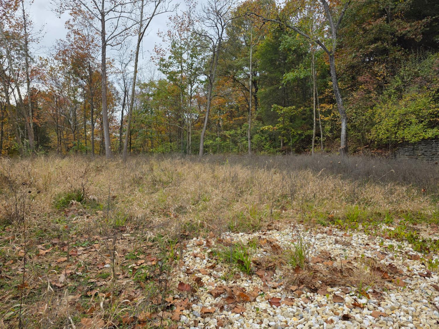10485 New Biddinger Road Property Photo 1
