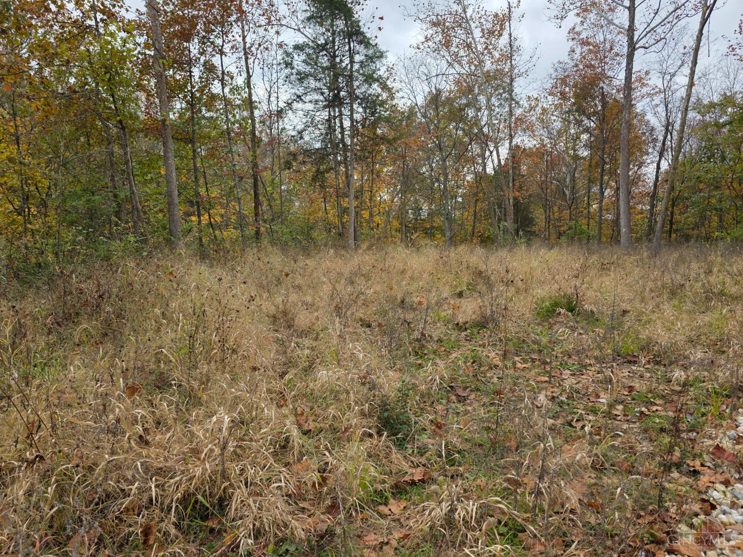 10485 New Biddinger Road Property Photo 2
