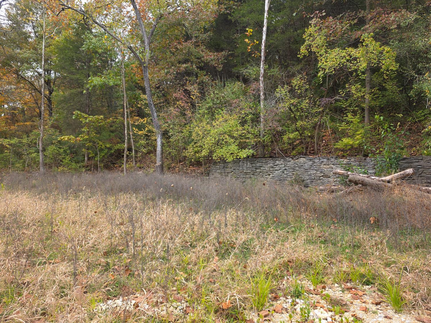 10485 New Biddinger Road Property Photo 3