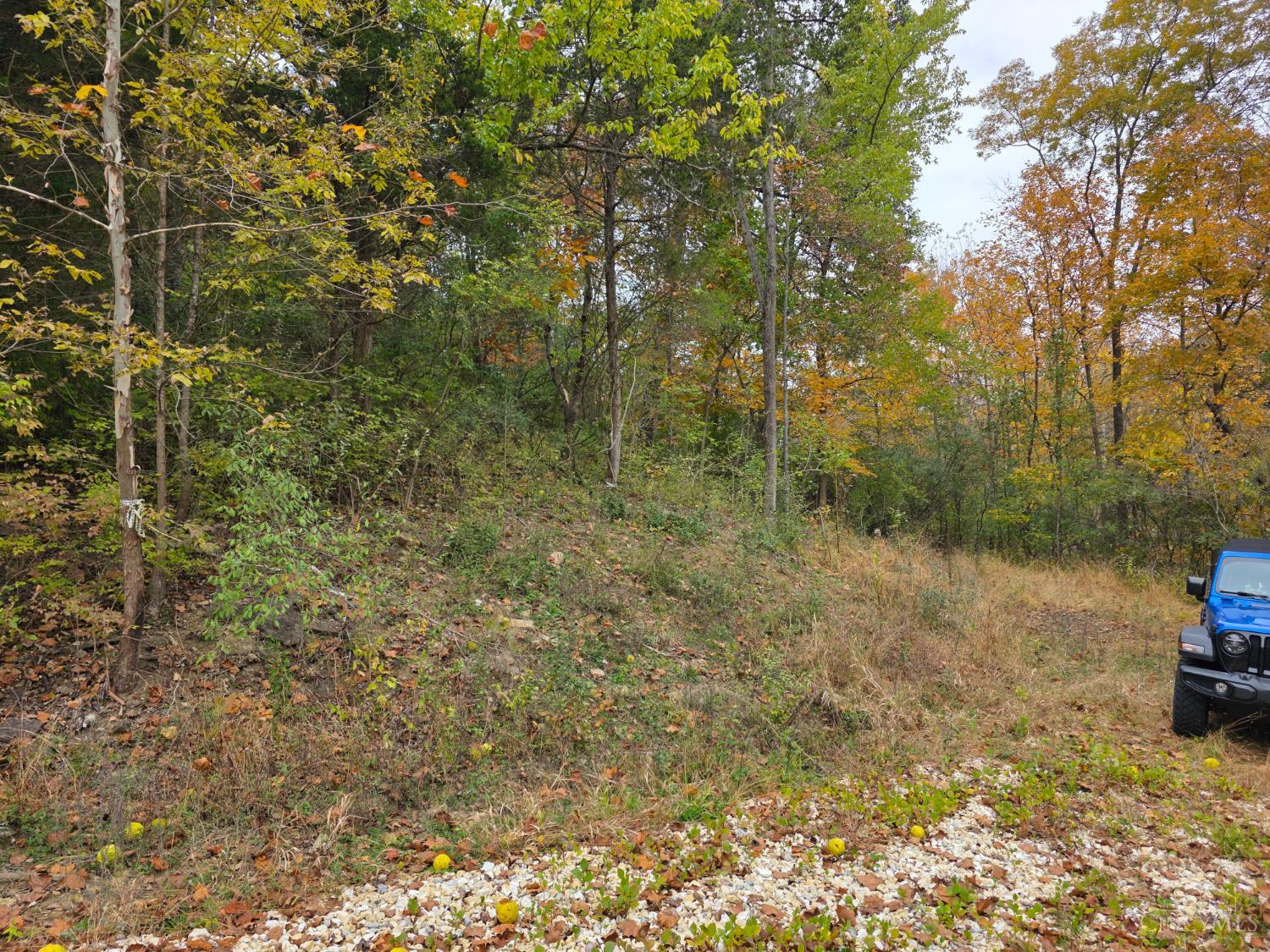 10485 New Biddinger Road Property Photo 5