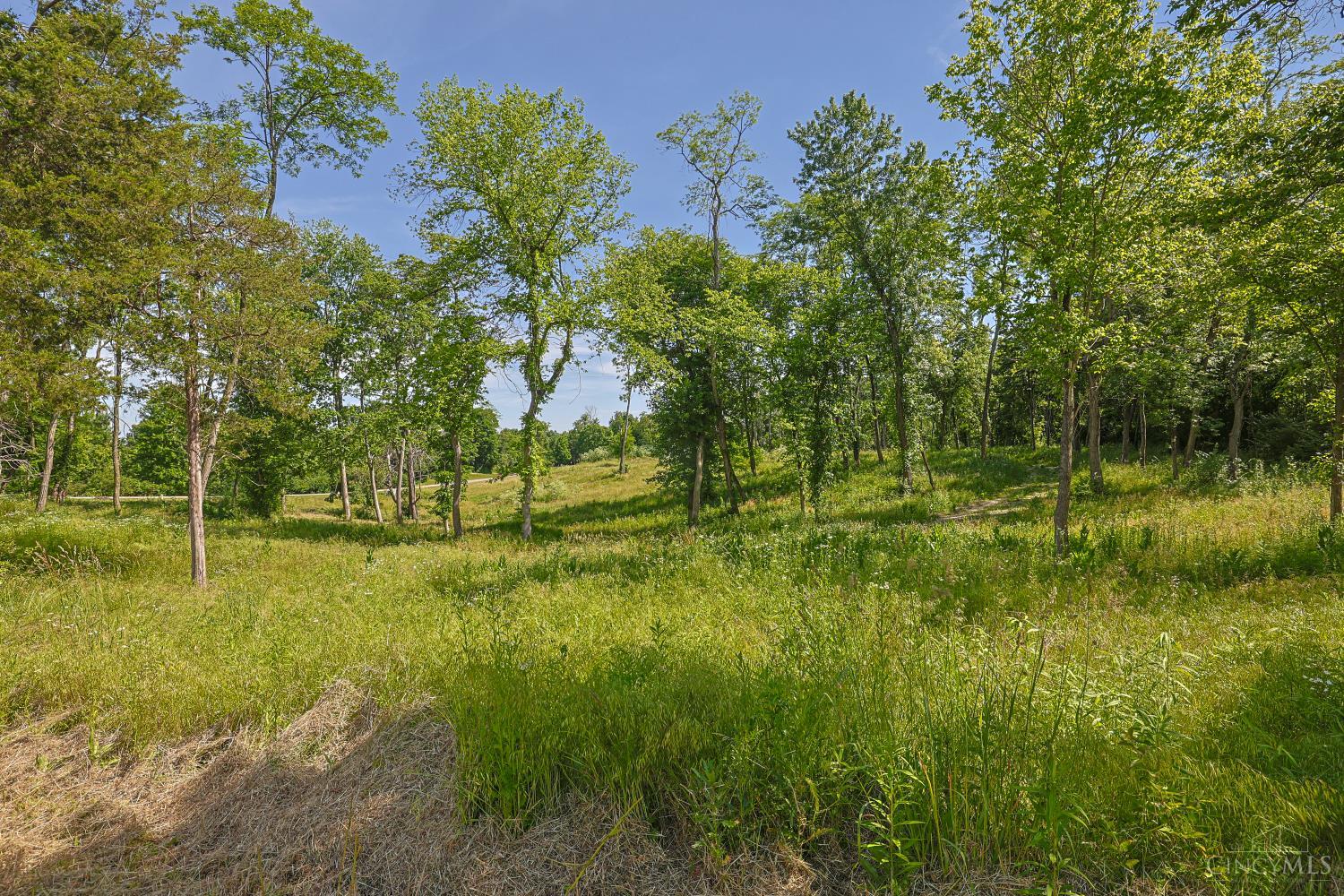 8881 Harrison Avenue Property Photo 3