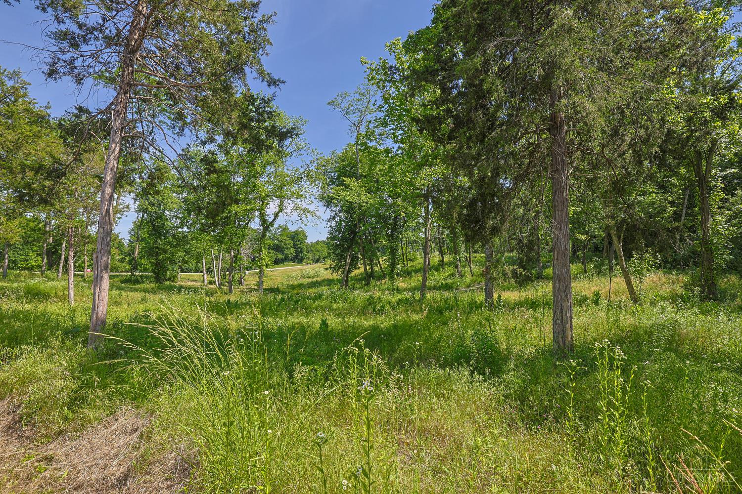 8881 Harrison Avenue Property Photo 4