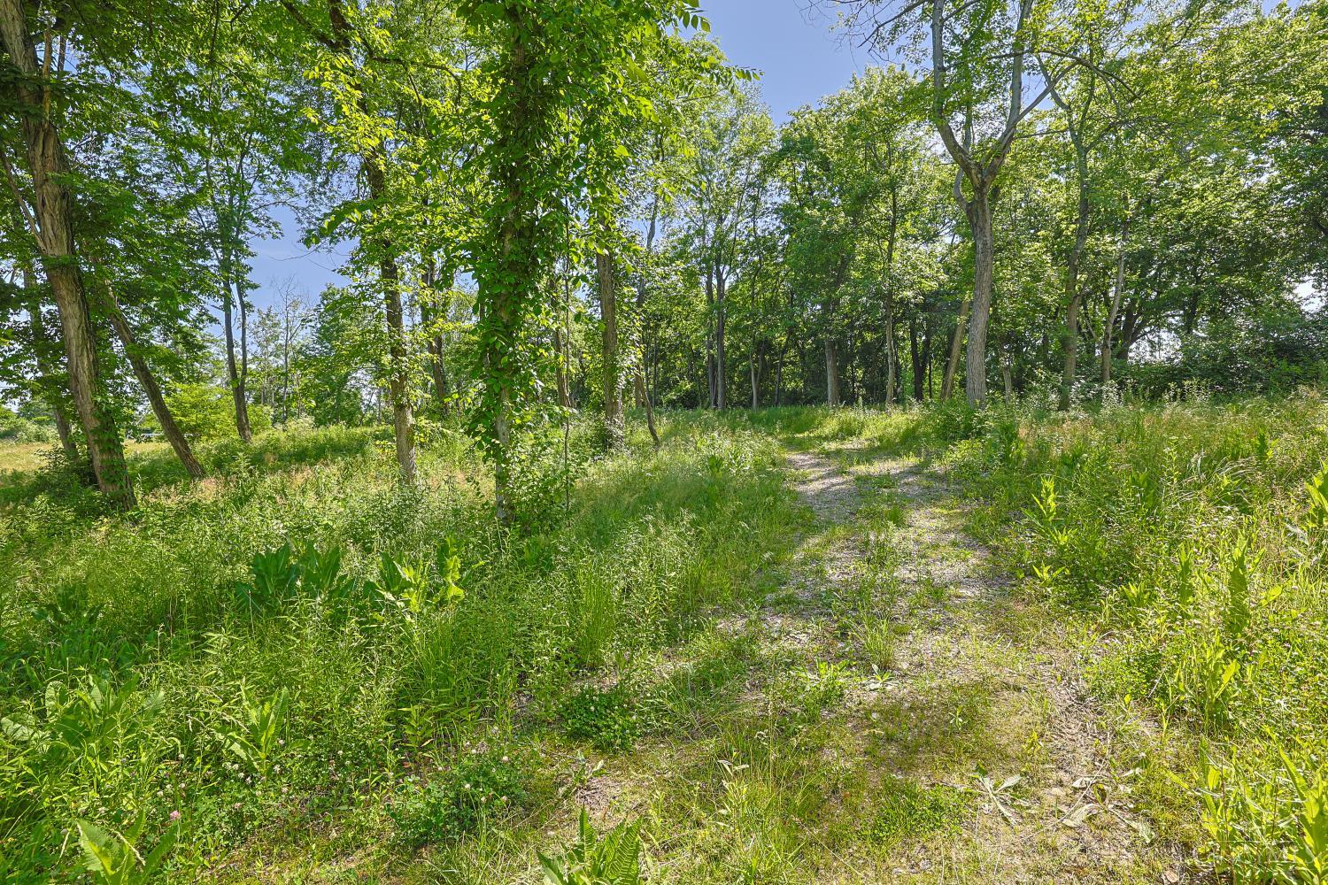 8881 Harrison Avenue Property Photo 6