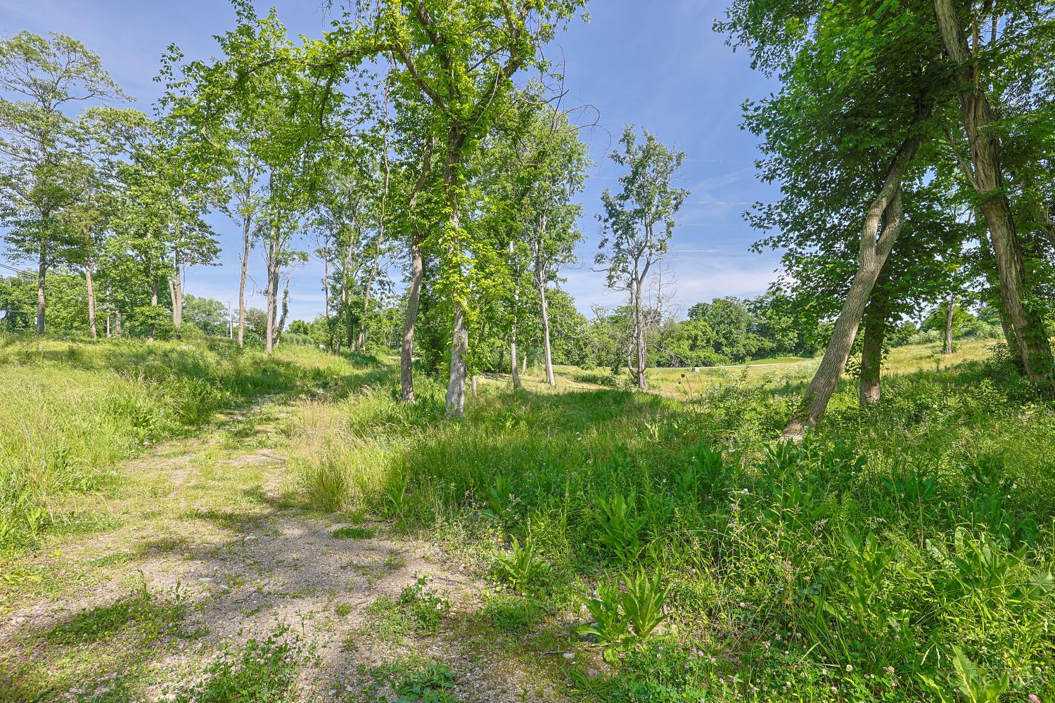 8881 Harrison Avenue Property Photo 7