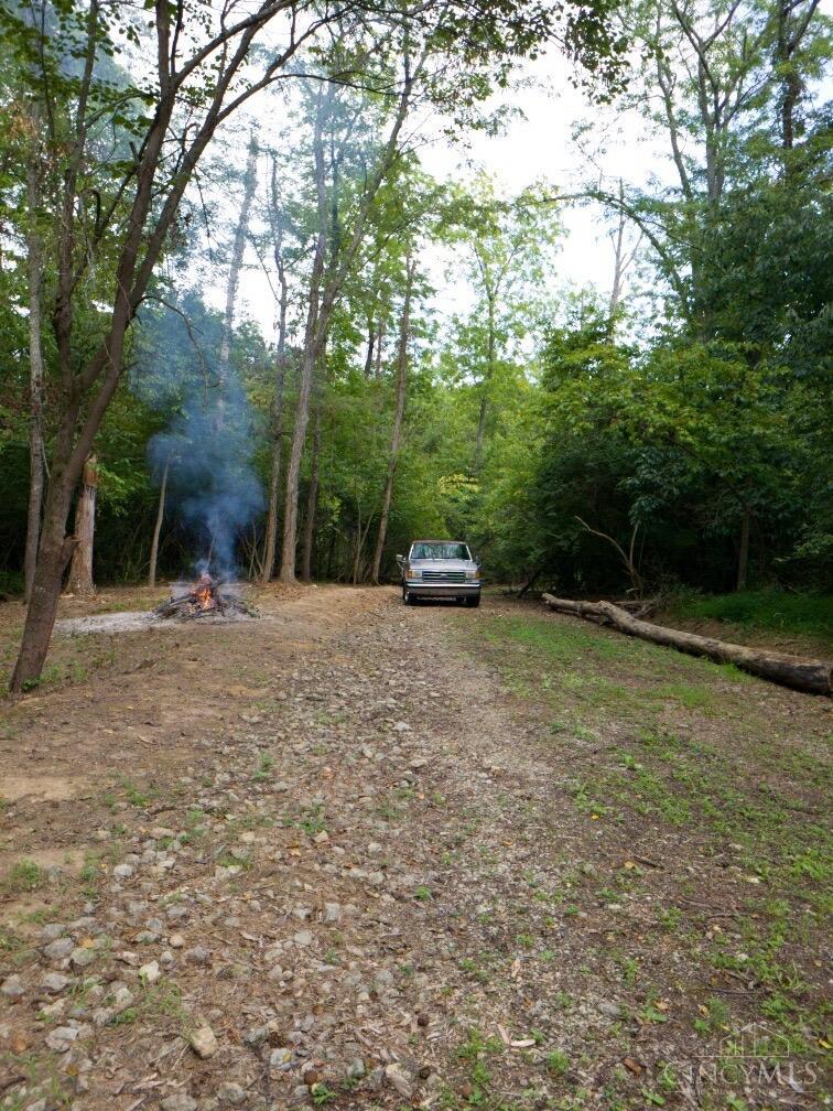 7231 Watkins Starkey Road Property Photo 1