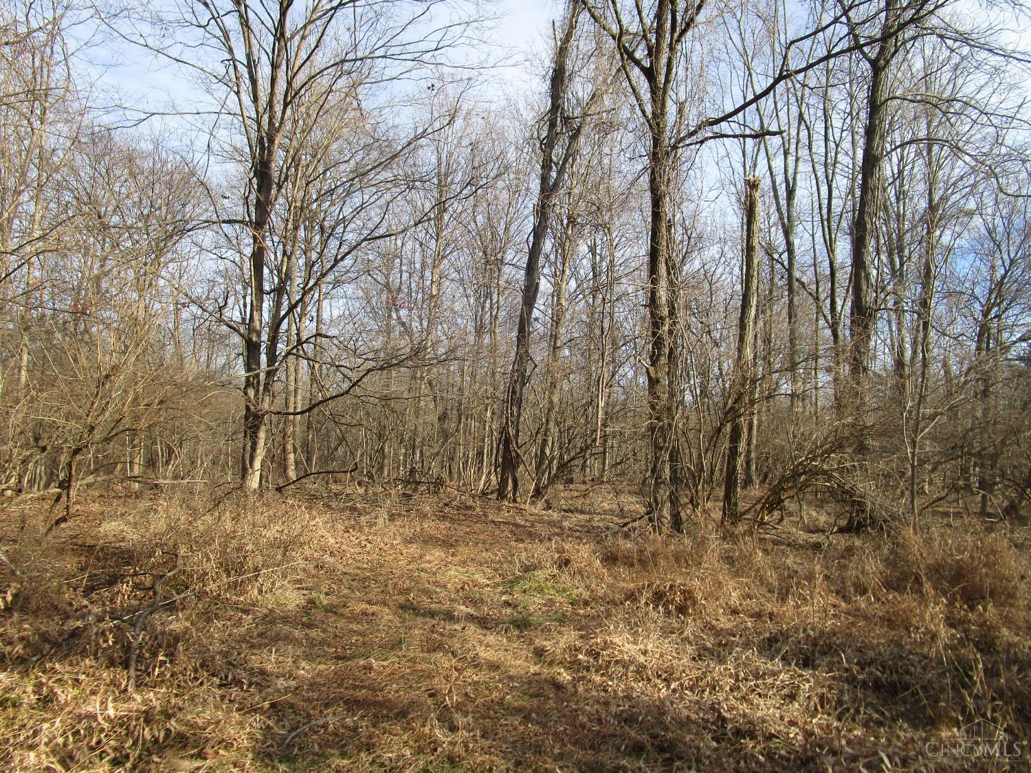 5420 Wolfpen Pleasant Hill Road Property Photo 3