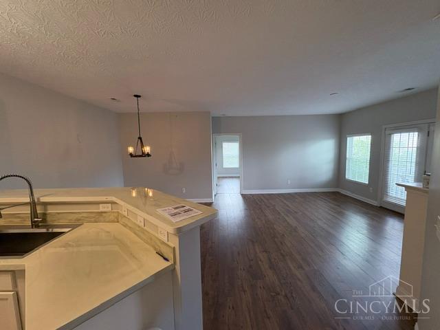 3232 Grand Falls Boulevard Property Photo 4