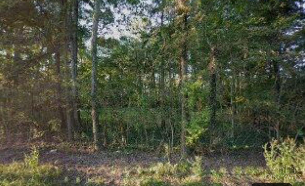 3070 Watson Road Property Photo 3