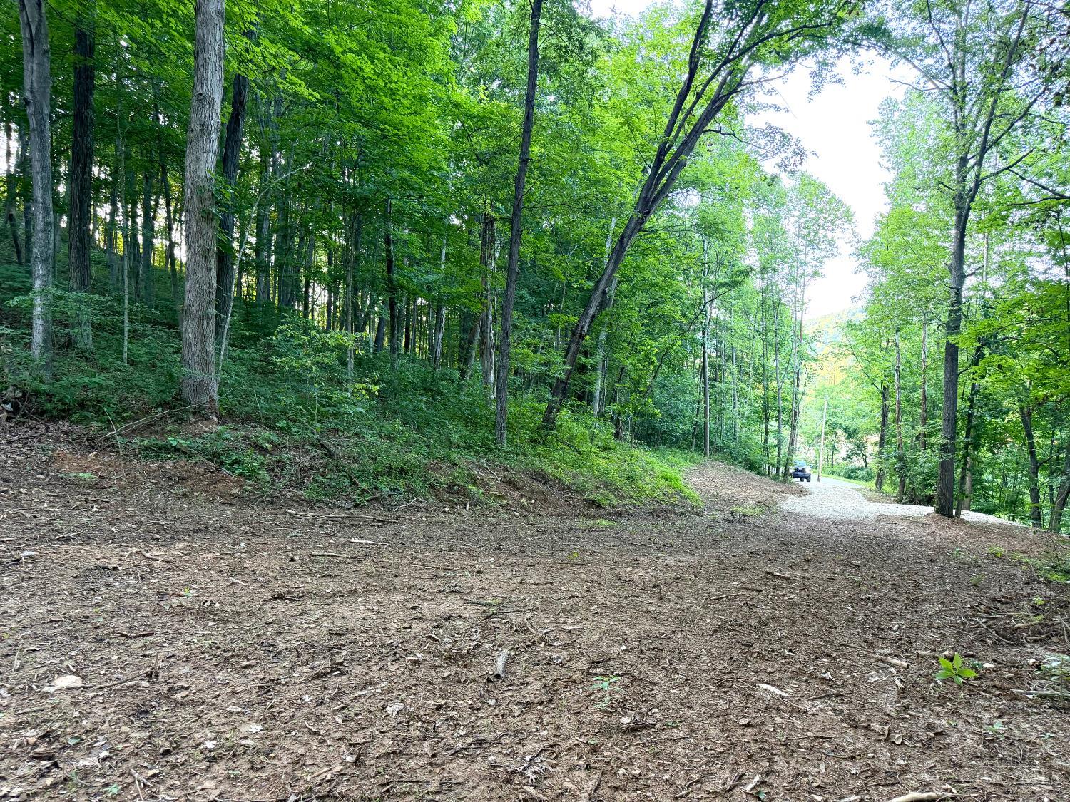 Carrs Run Property Photo 2