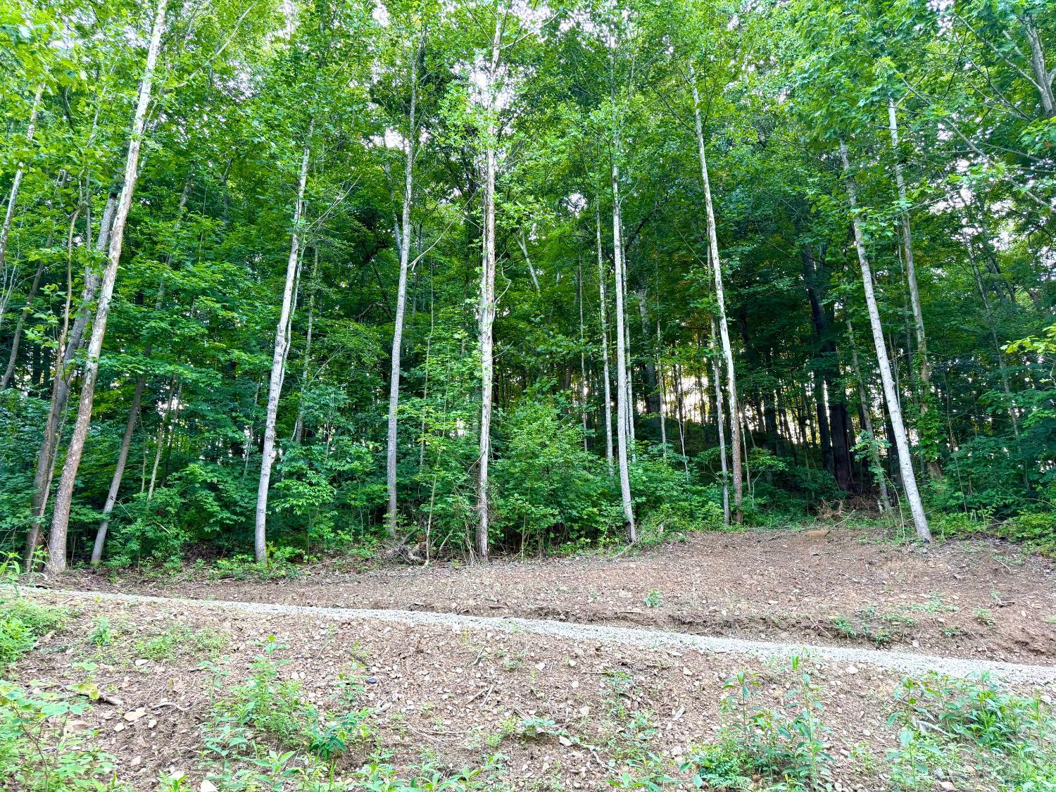 Carrs Run Property Photo 6