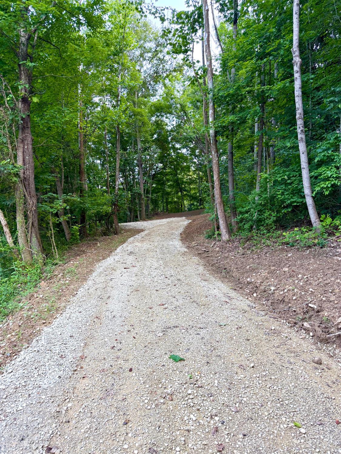 Carrs Run Property Photo 7