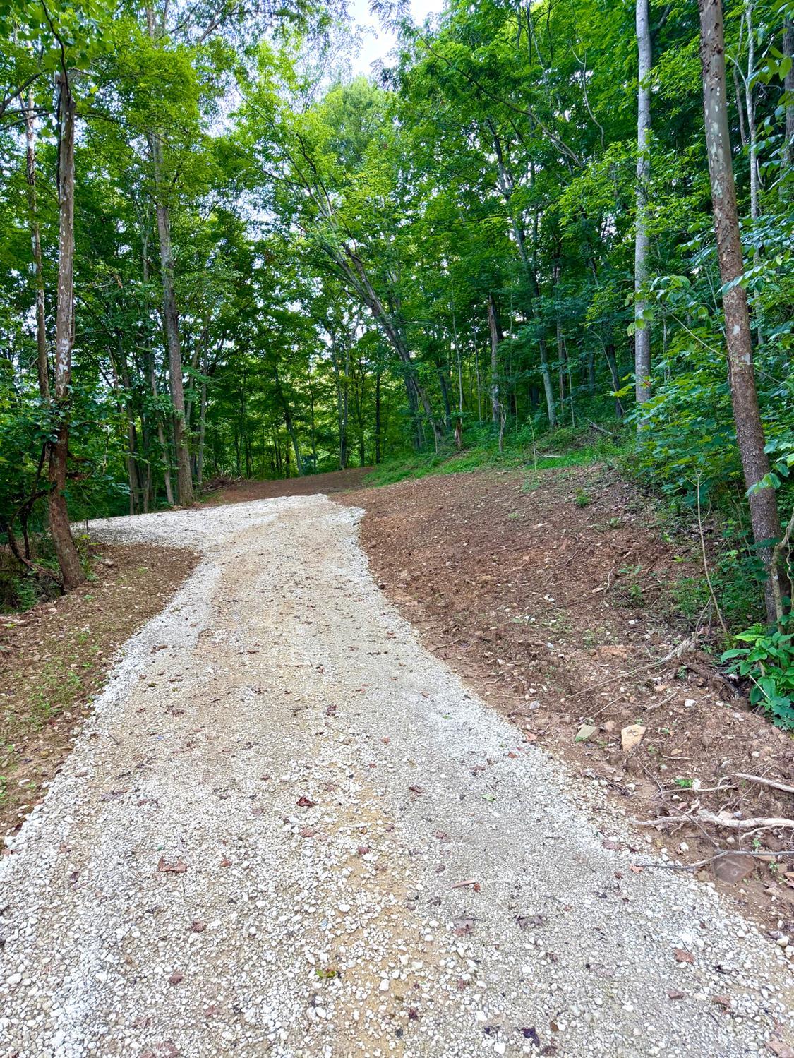 Carrs Run Property Photo 10
