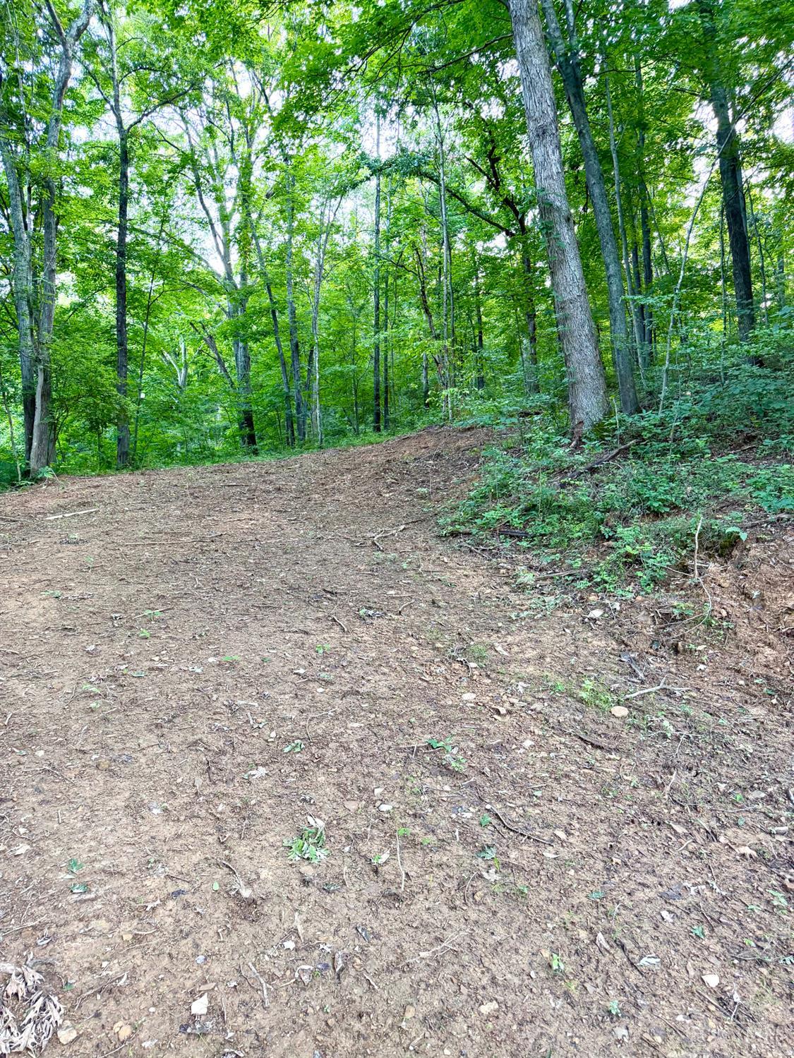 Carrs Run Property Photo 13