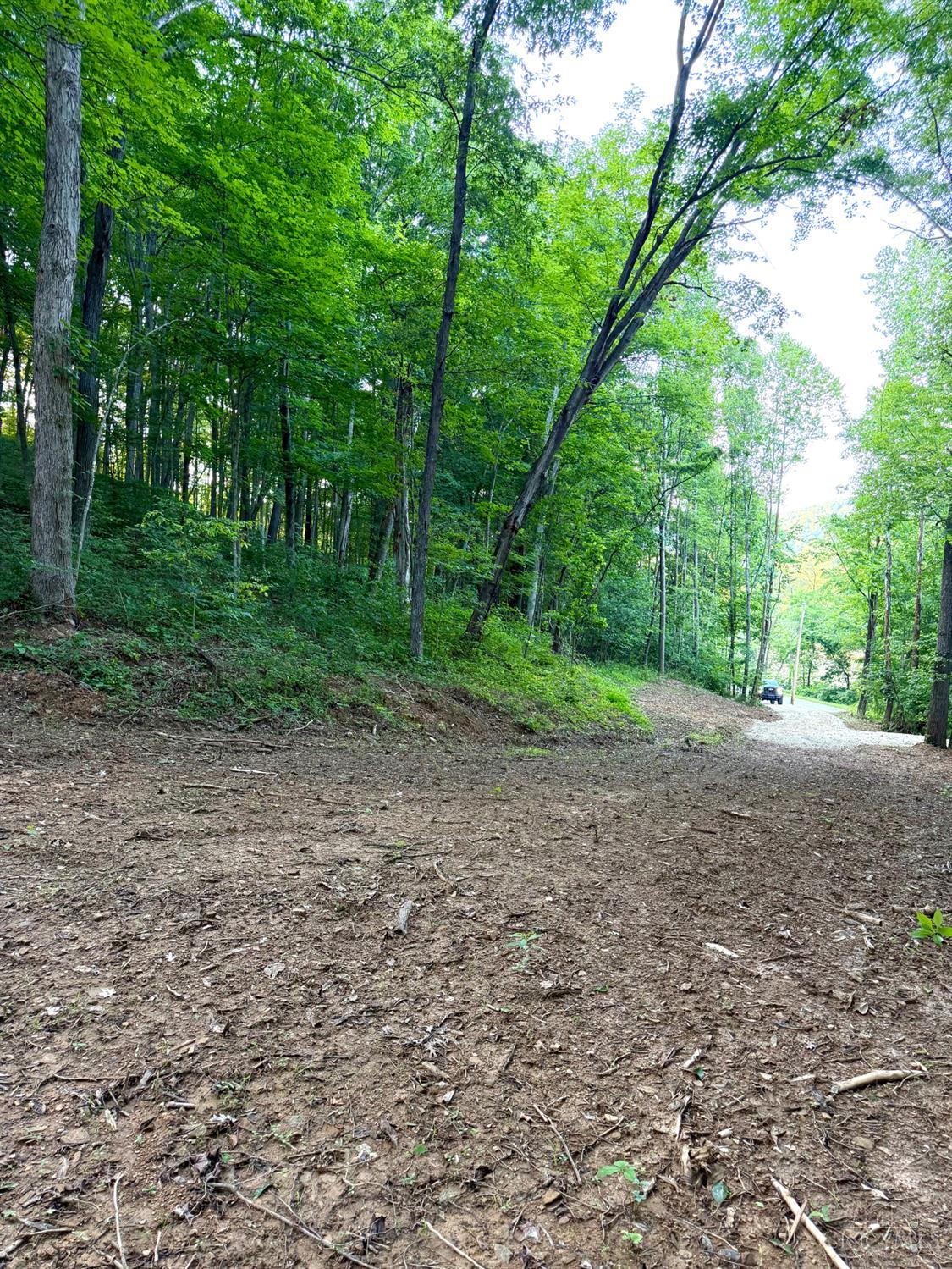 Carrs Run Property Photo 14