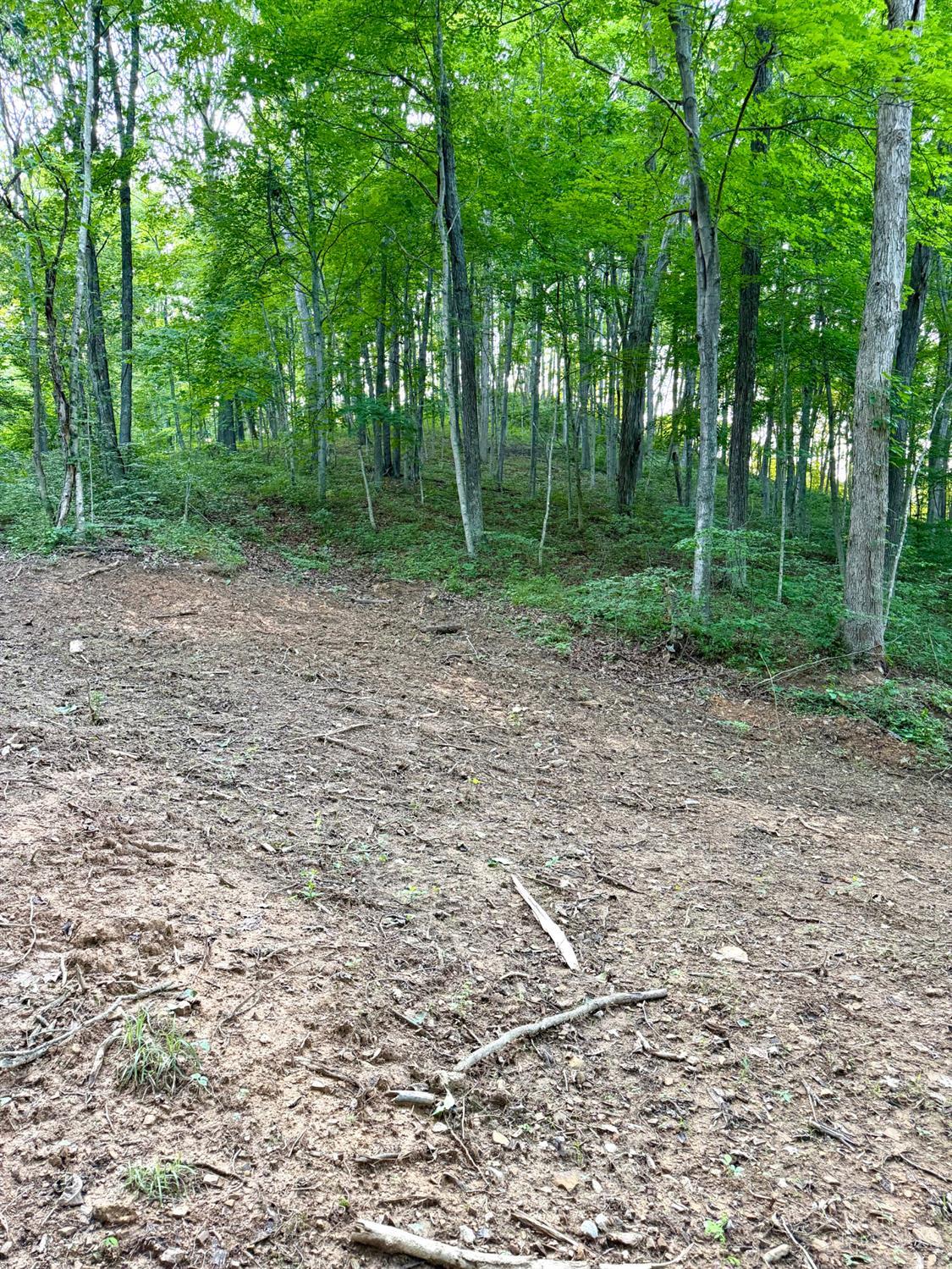 Carrs Run Property Photo 15