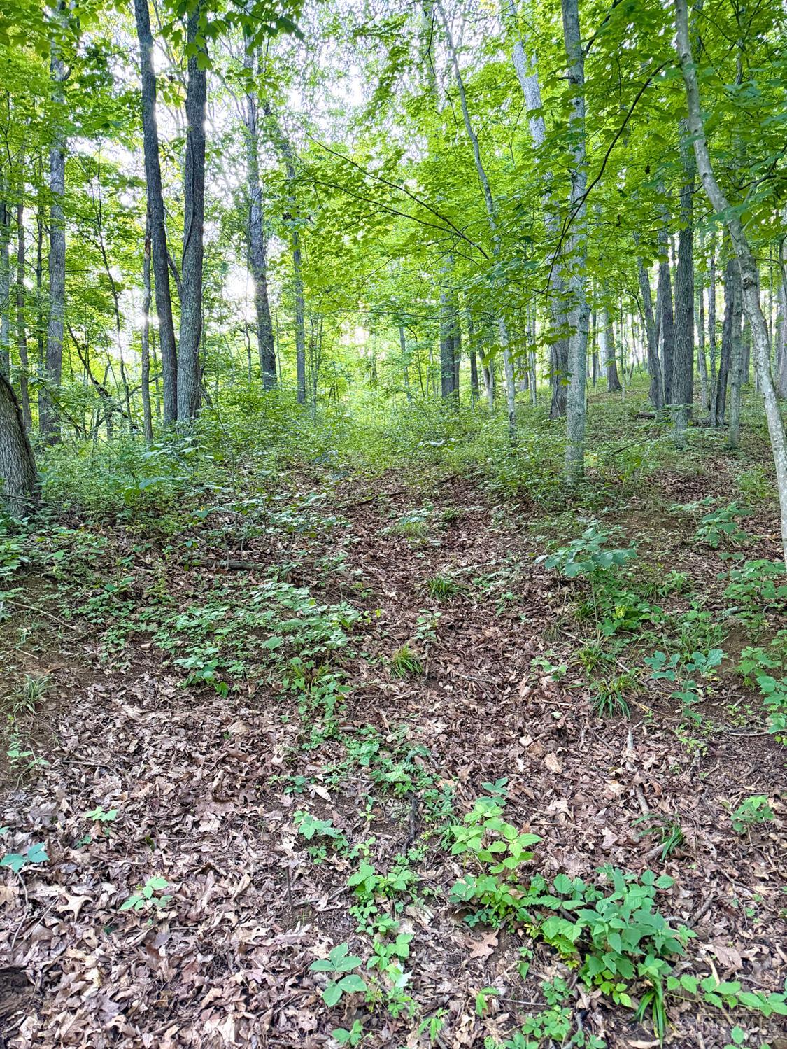 Carrs Run Property Photo 16