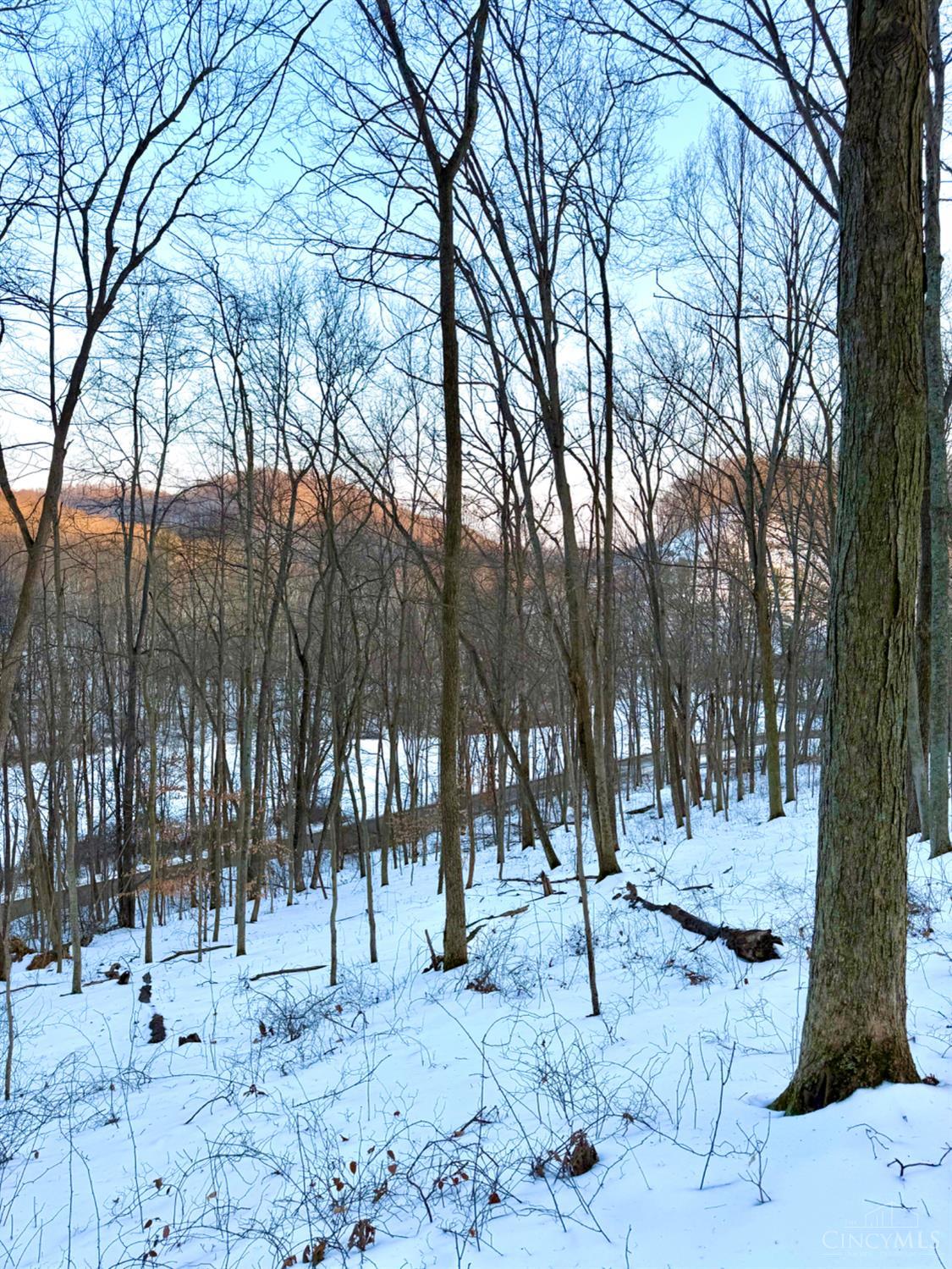Carrs Run Property Photo 22