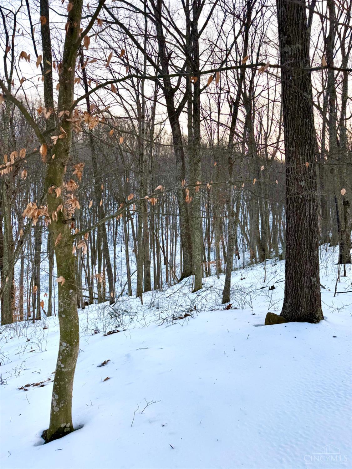 Carrs Run Property Photo 30