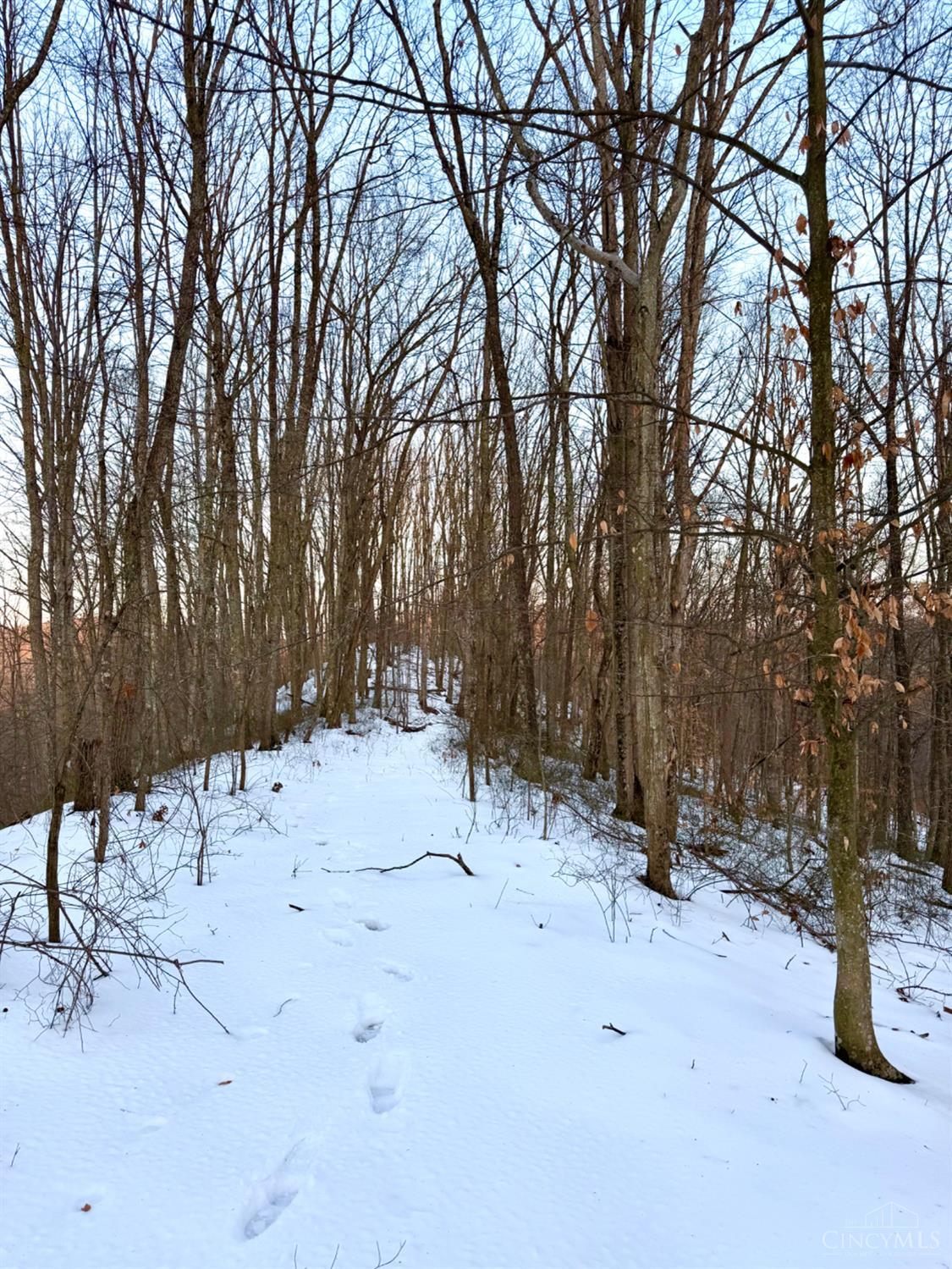 Carrs Run Property Photo 31