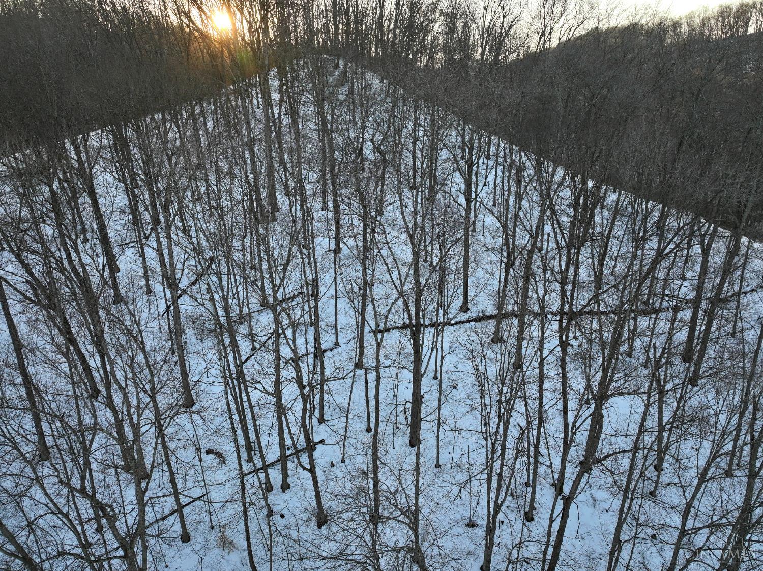 Carrs Run Property Photo 48