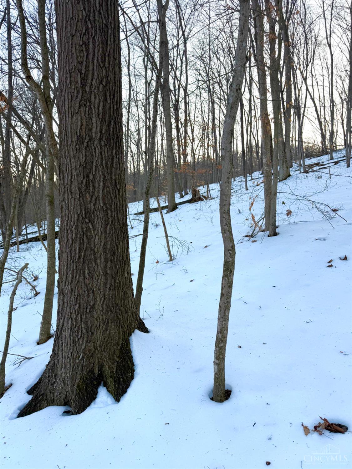 Carrs Run Property Photo 51