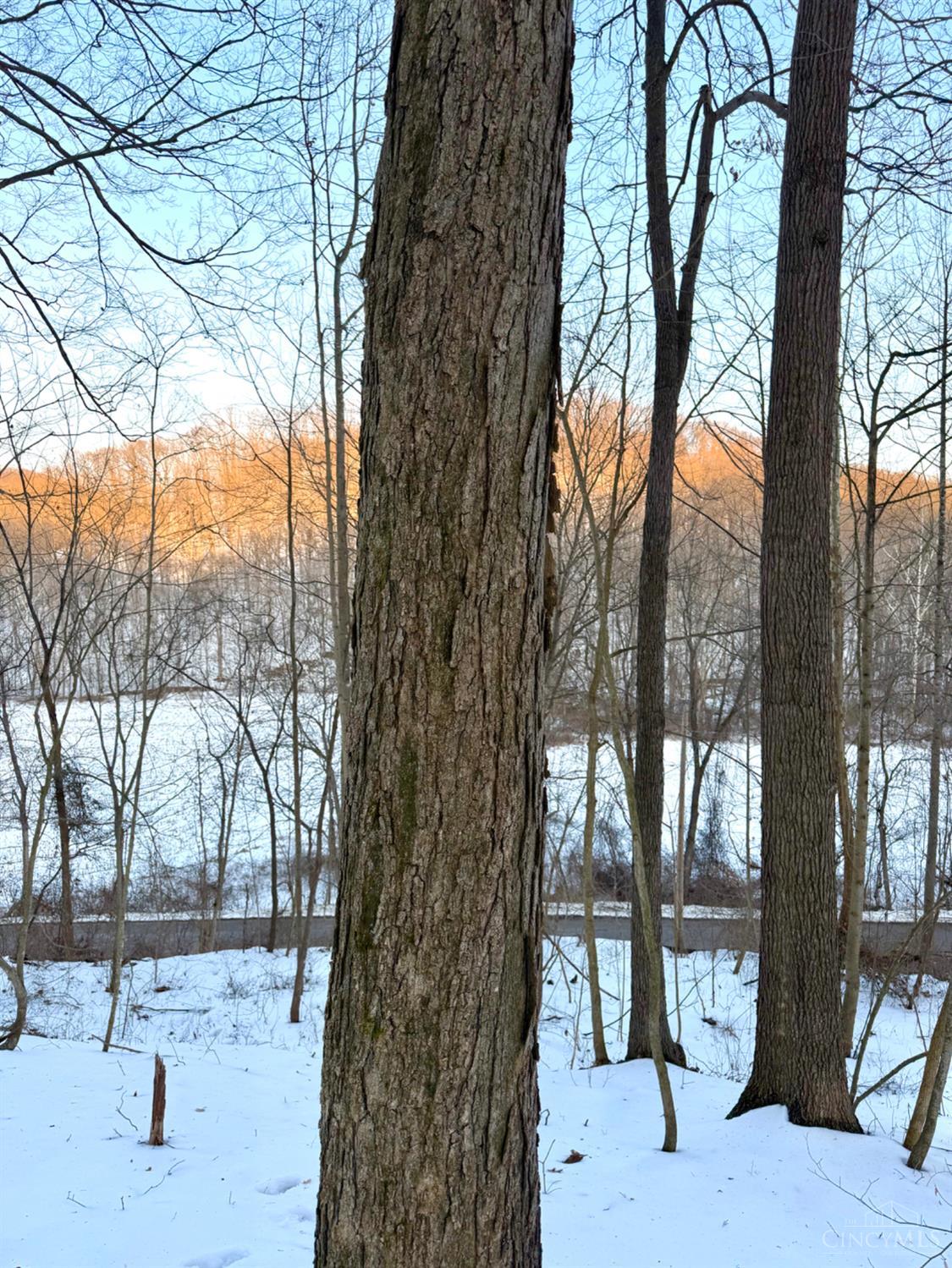 Carrs Run Property Photo 52