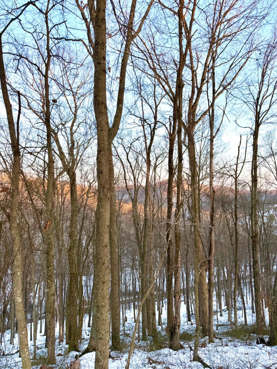 Carrs Run Property Photo 55