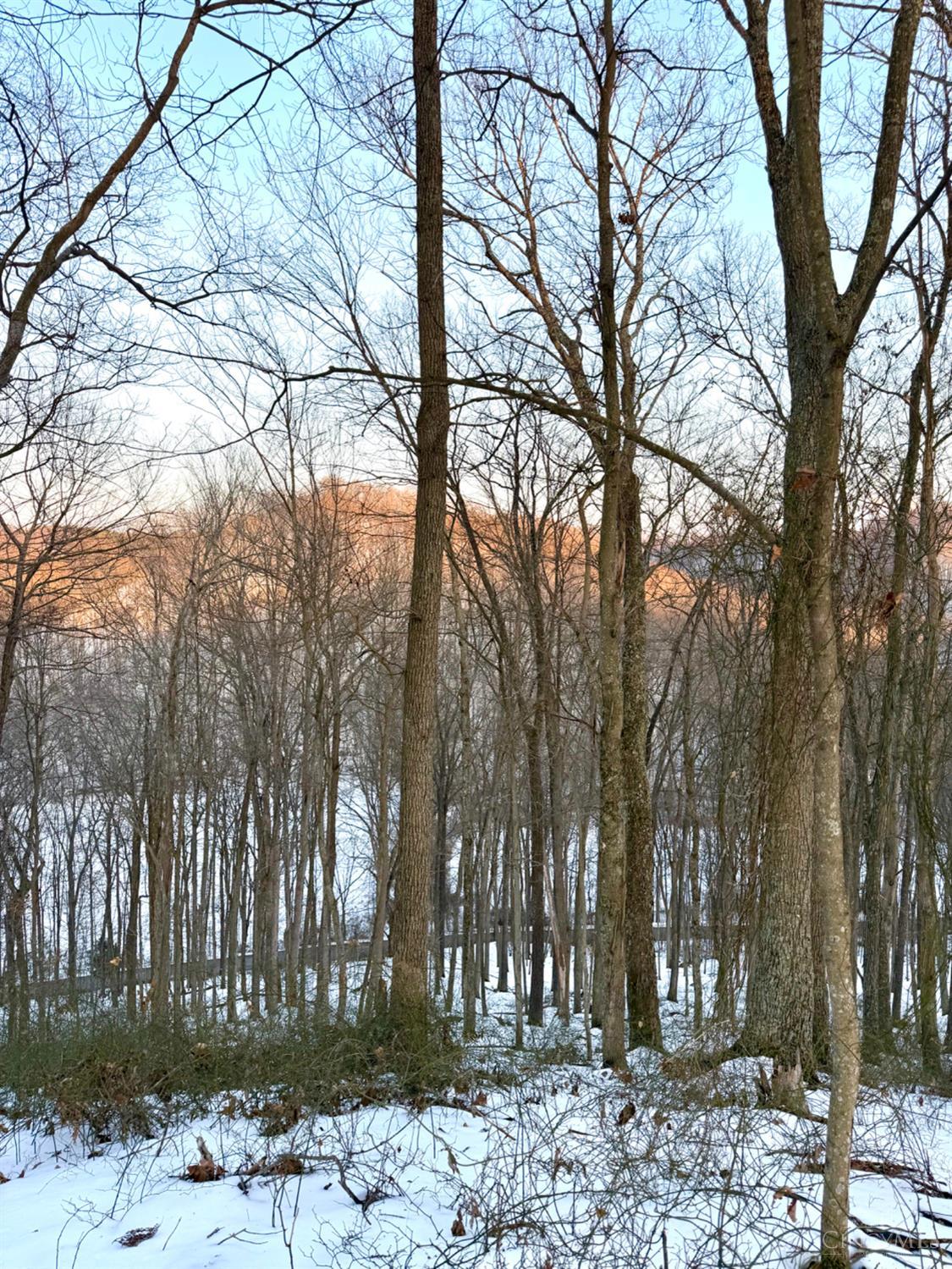 Carrs Run Property Photo 56