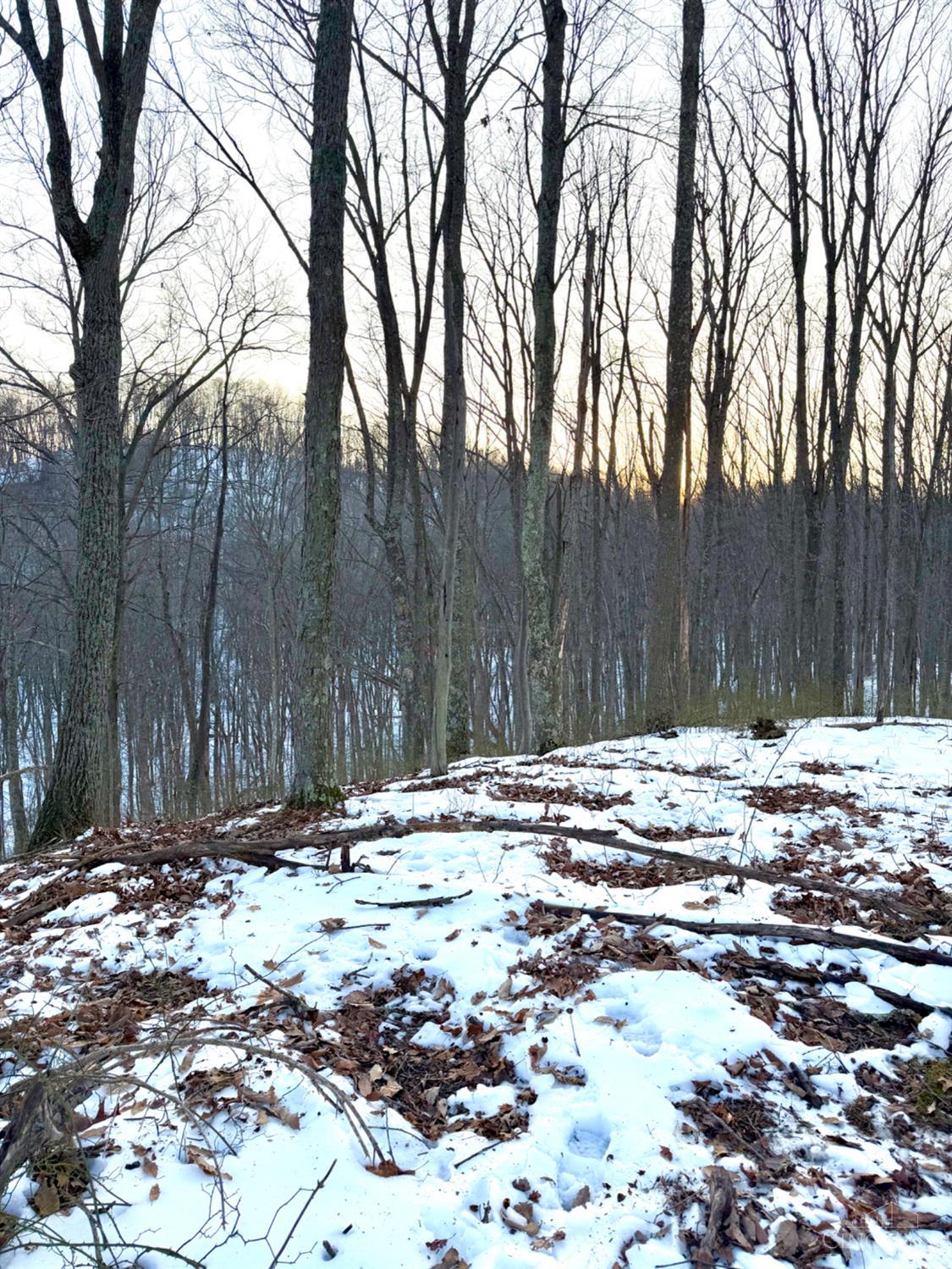 Carrs Run Property Photo 57