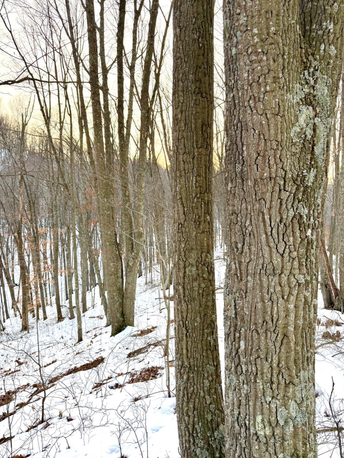 Carrs Run Property Photo 58