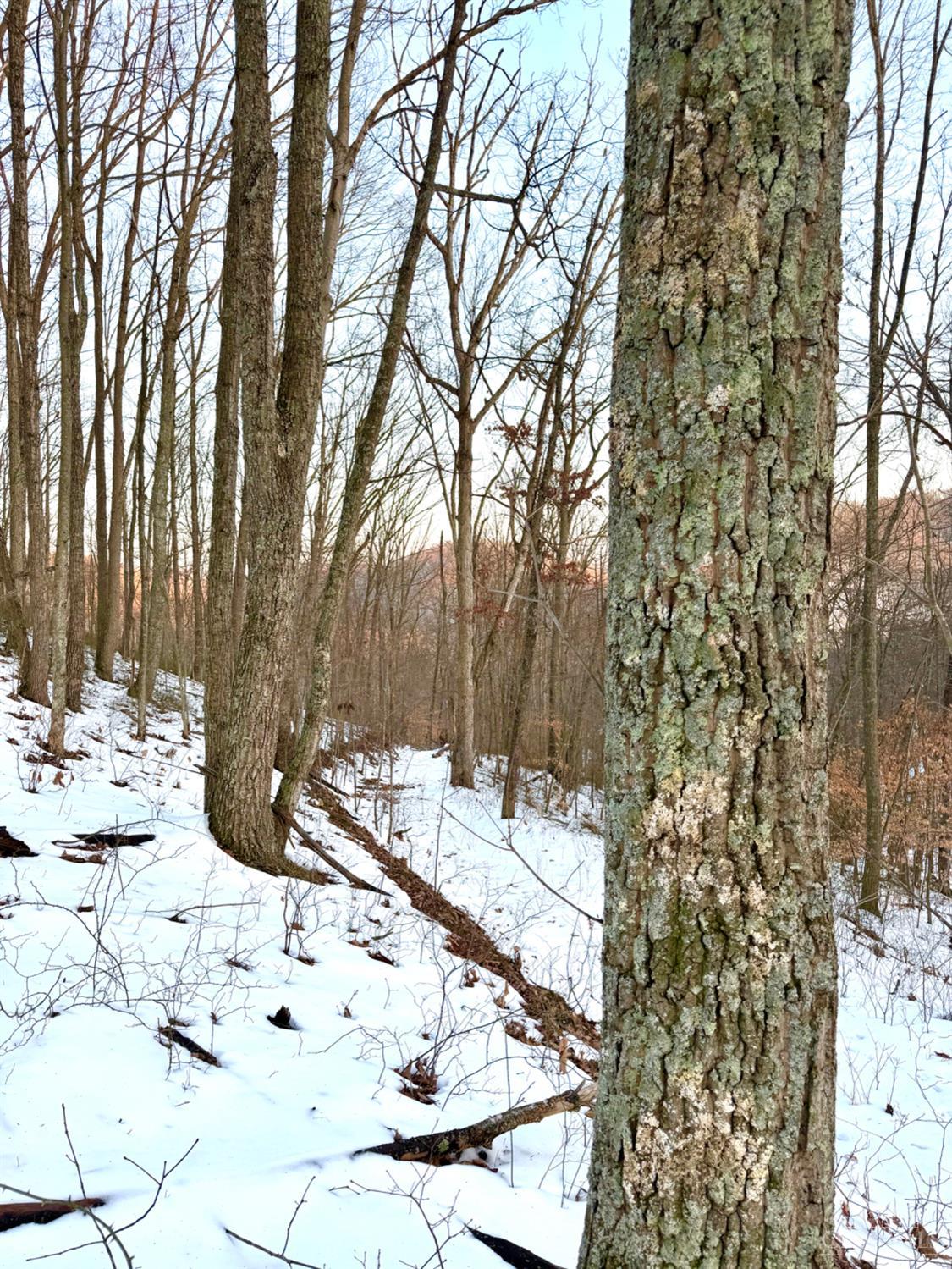 Carrs Run Property Photo 59