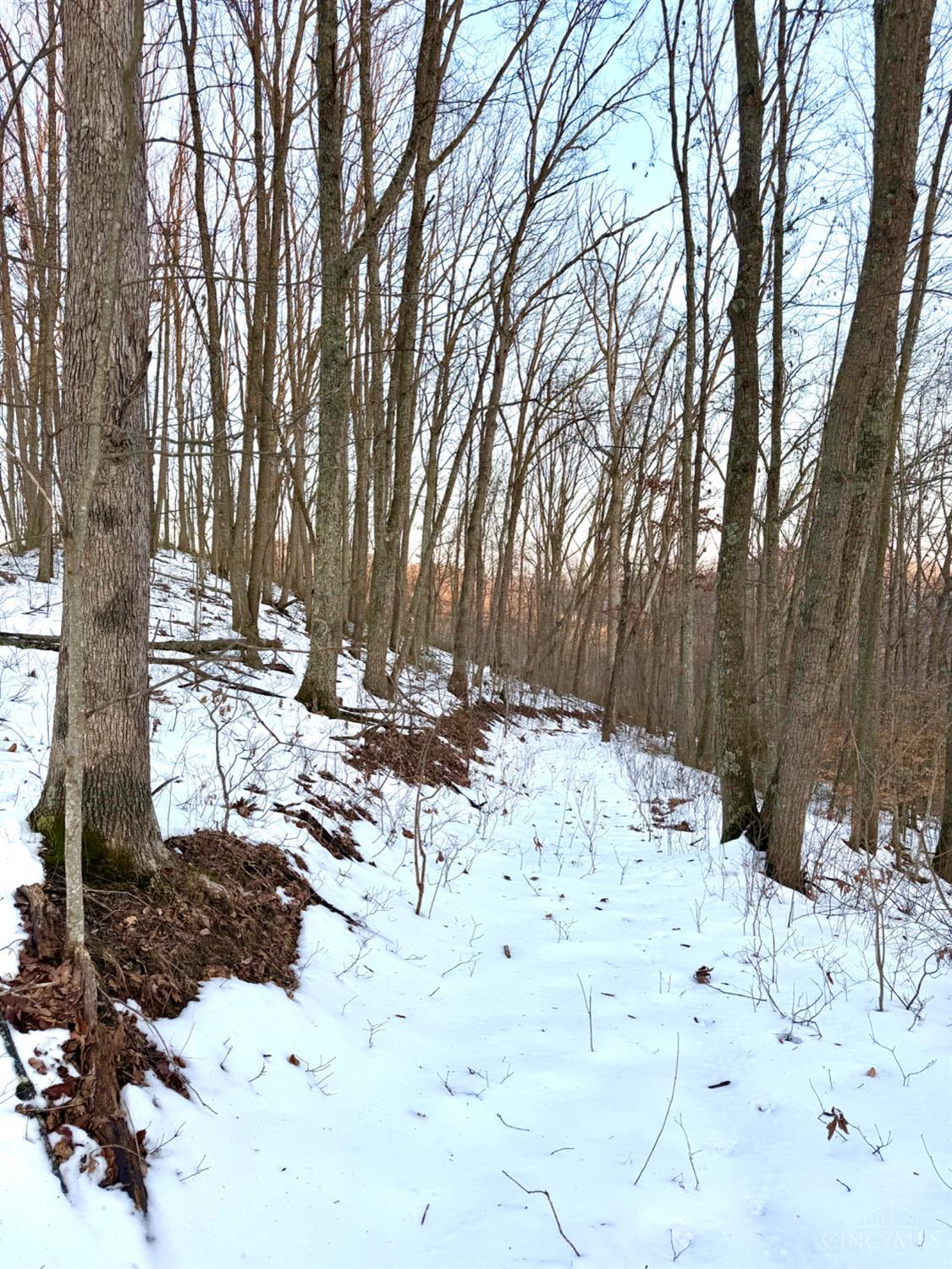 Carrs Run Property Photo 60