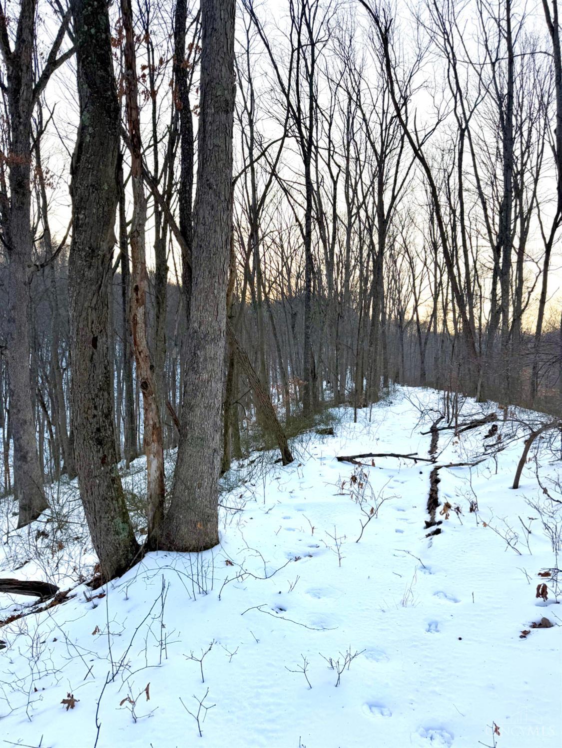 Carrs Run Property Photo 61