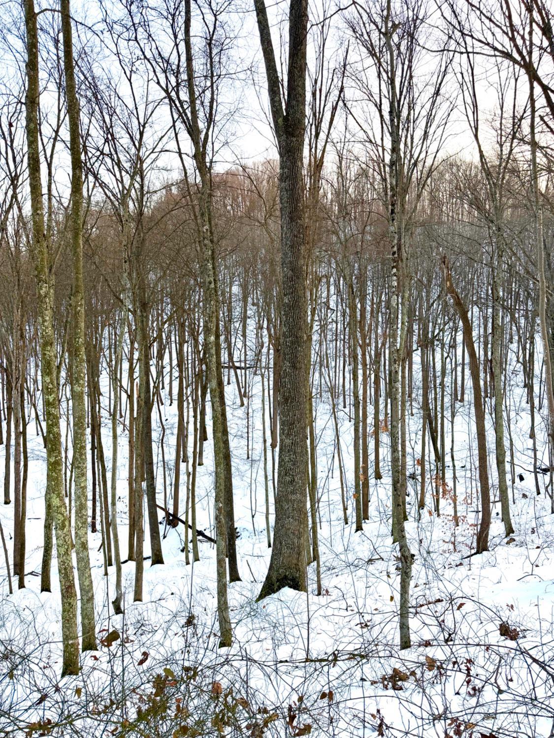 Carrs Run Property Photo 67